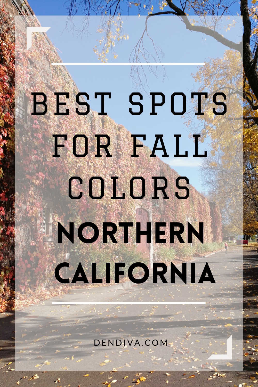 California Fall Colors : Where To See -
