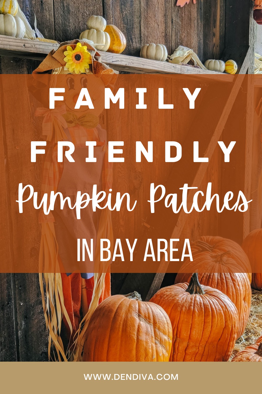 Pumpkin Patch for Amazing Family time in Bay Area -